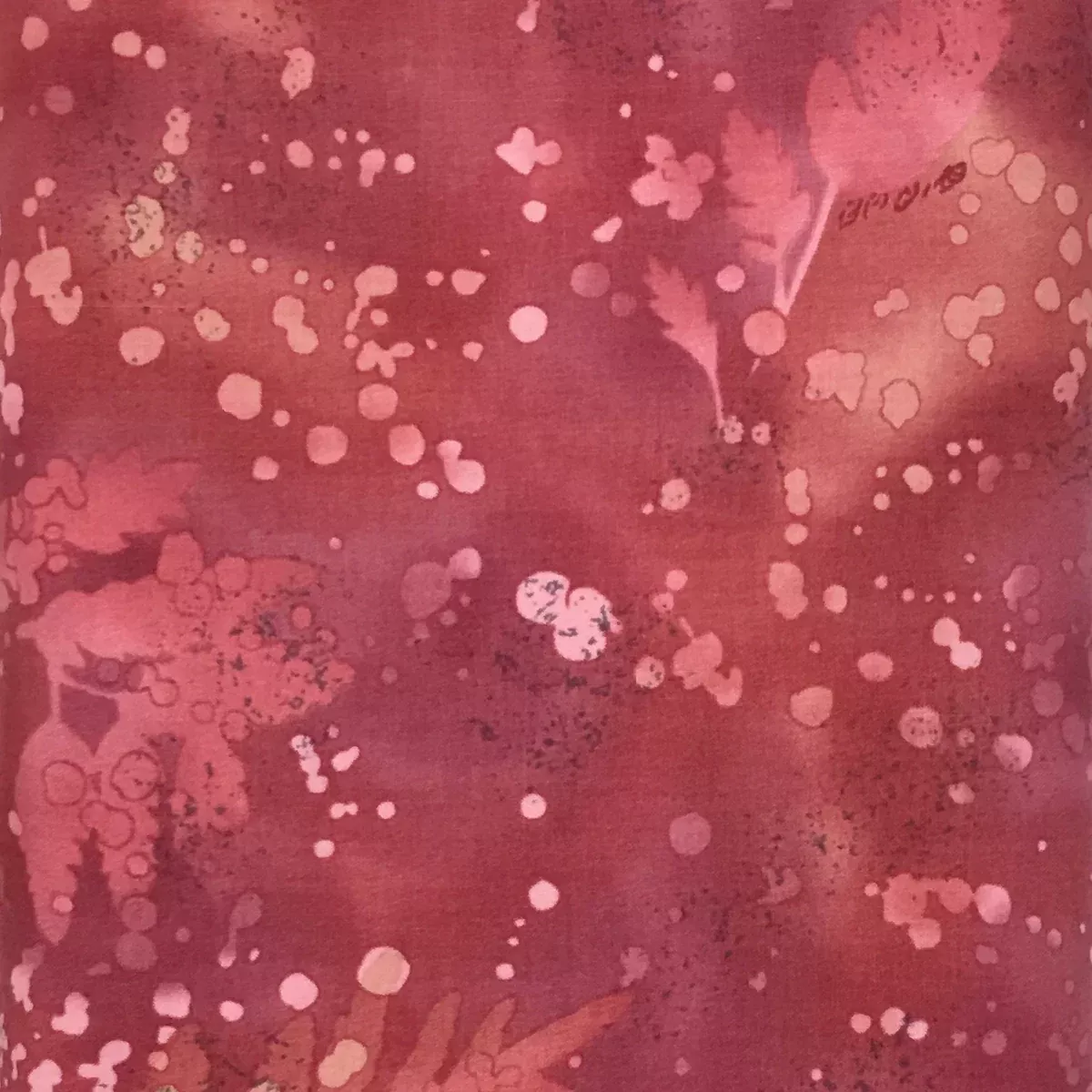 00528-HH CLAY RED FOSSIL FERN