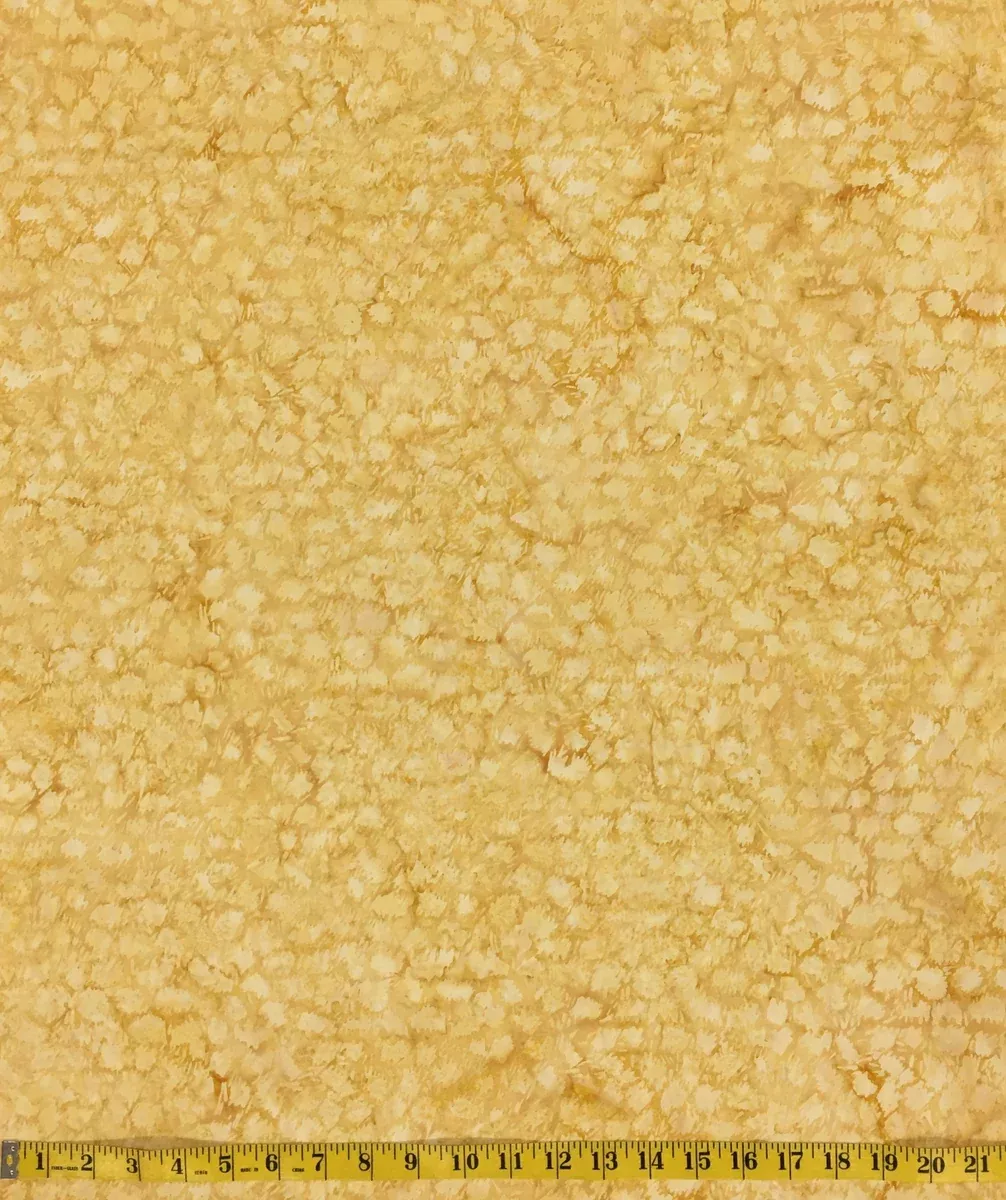 111803048 CHEETAH
