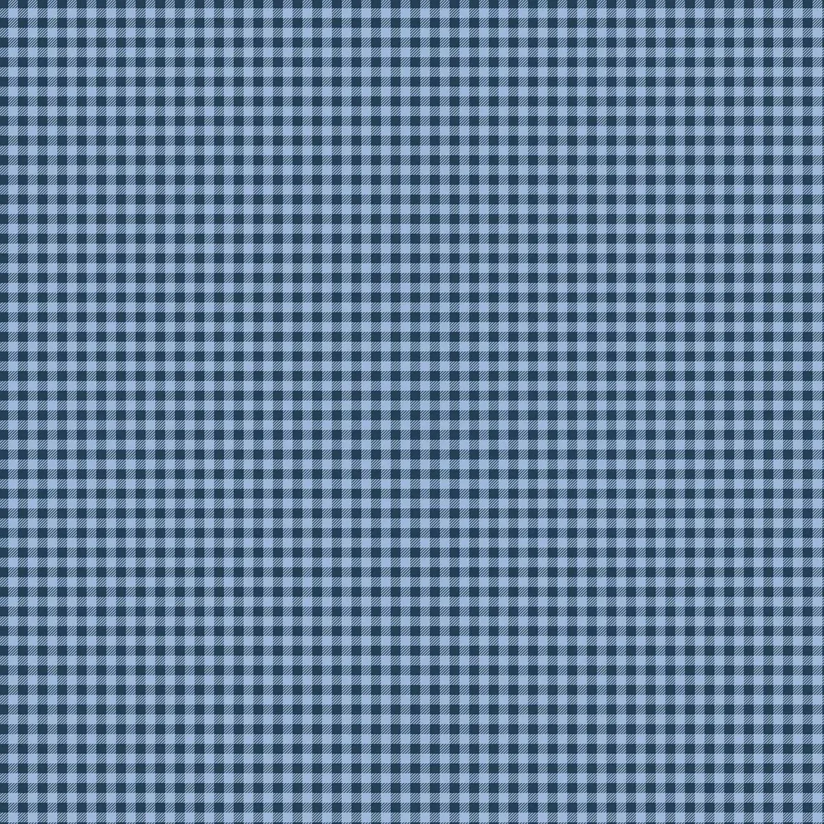Autumn in the Air - Gingham - Per Yard - by Patrick Lose for Northcott - Teal - 10169-44