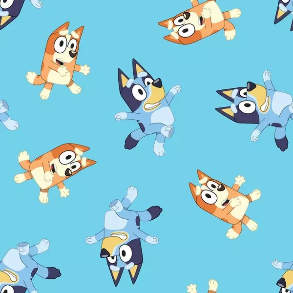 BlueyBluey & Bingo