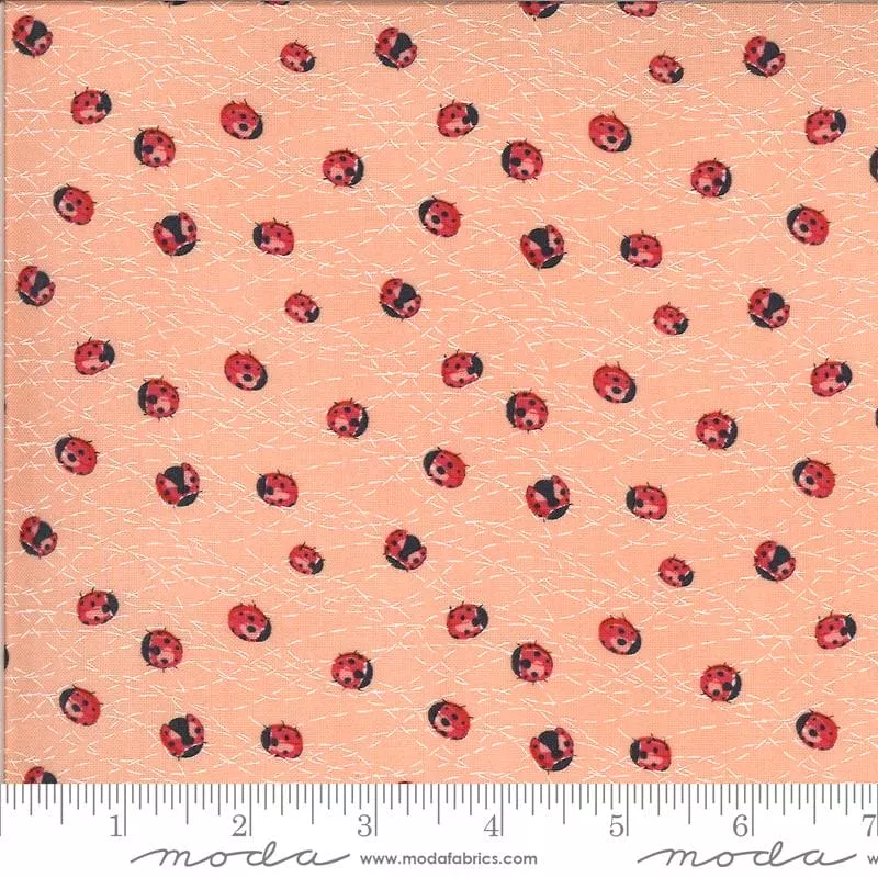 Solana - per yard - by Robin Pickens for MODA - Ladybug Peach - 48684 19 -