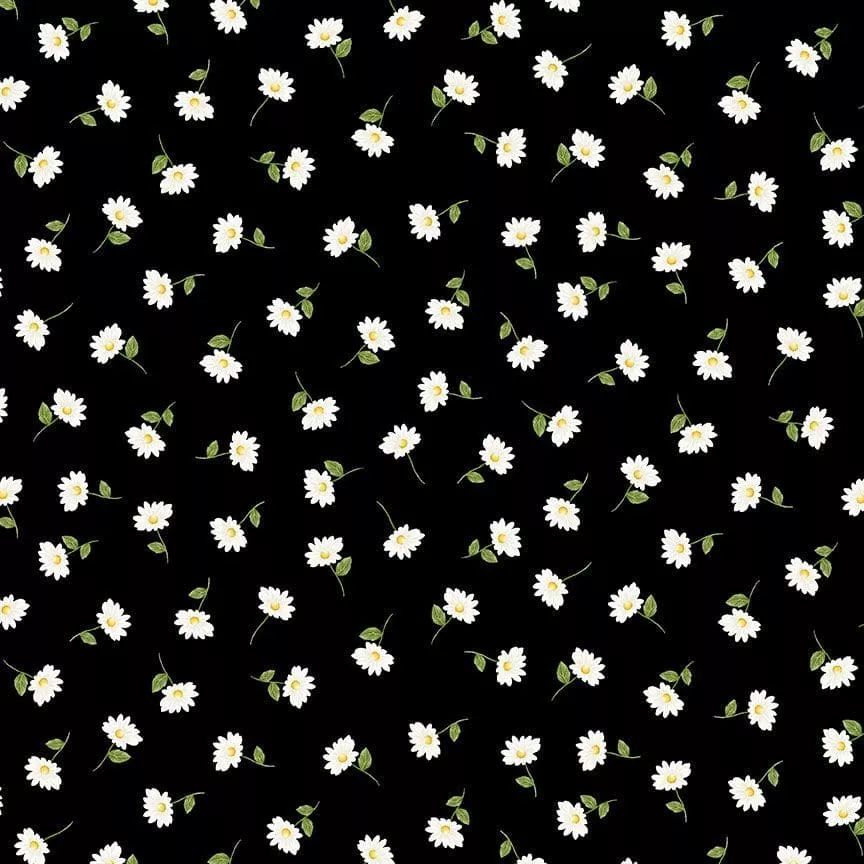 Watermelon Party - Tiny Daisies Black - per yard - Timeless Treasures - Fruit, Watermelon, Gnomes - FLEUR-CD1927-BLACK