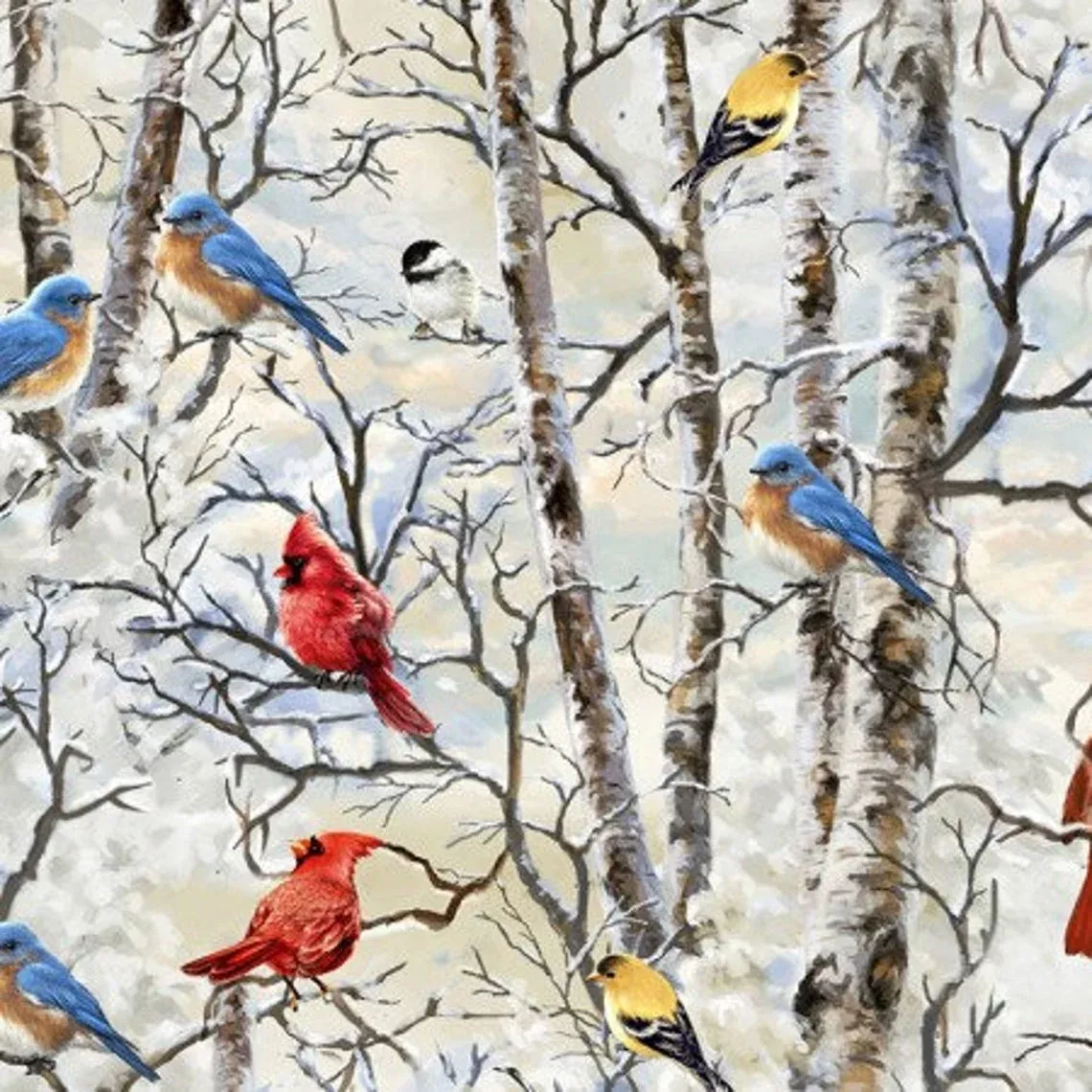WINTER BIRDS C7593