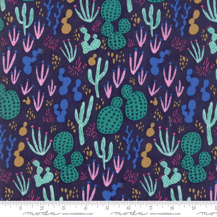 Yucatan Night Sky Cactus