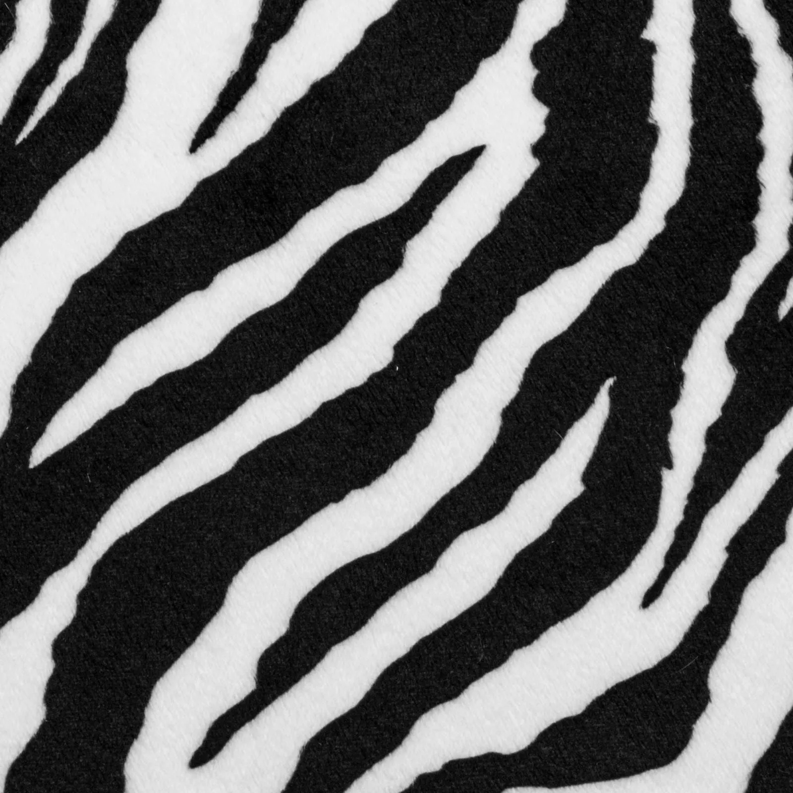 Zebra Cuddle ClassicMinky